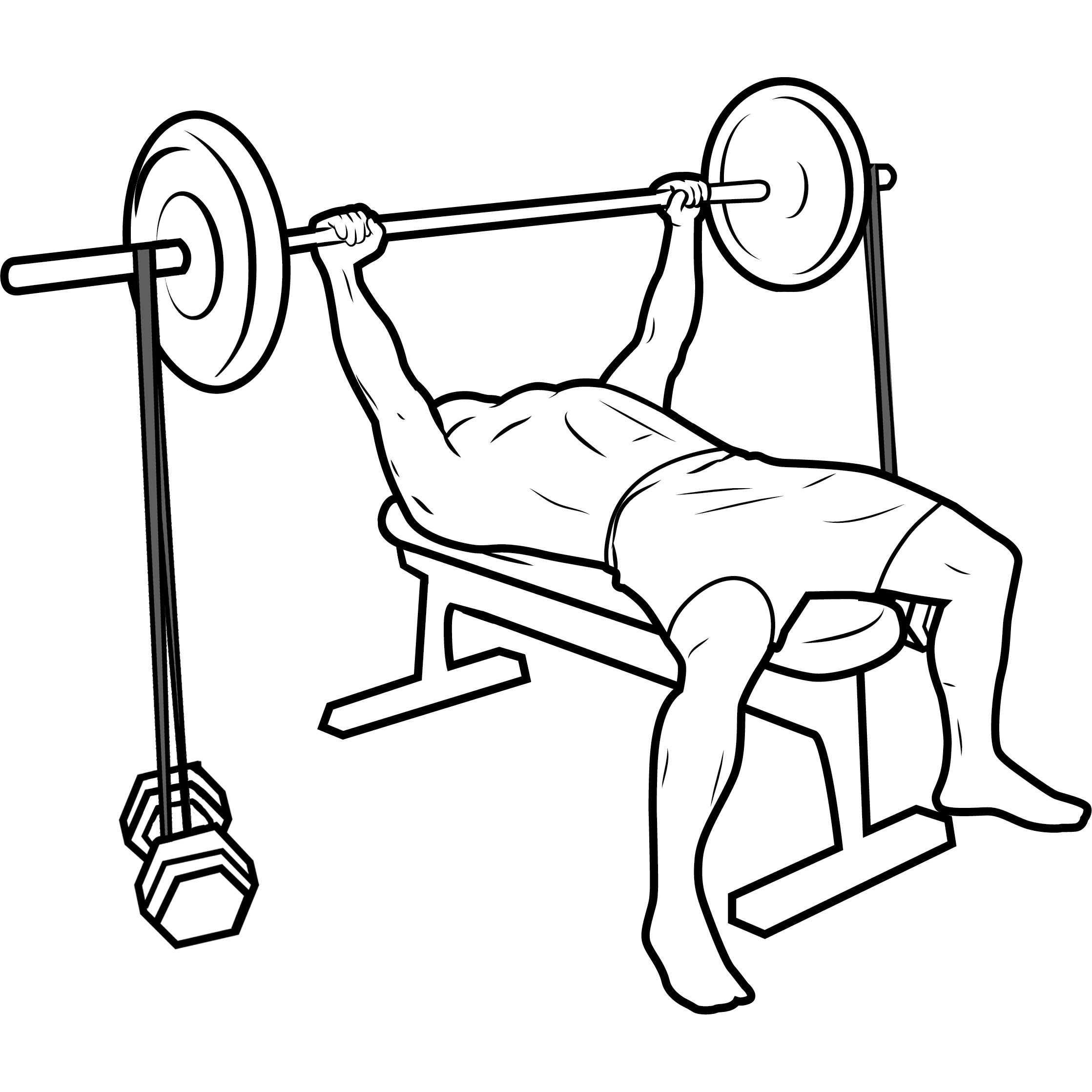 Bench Press