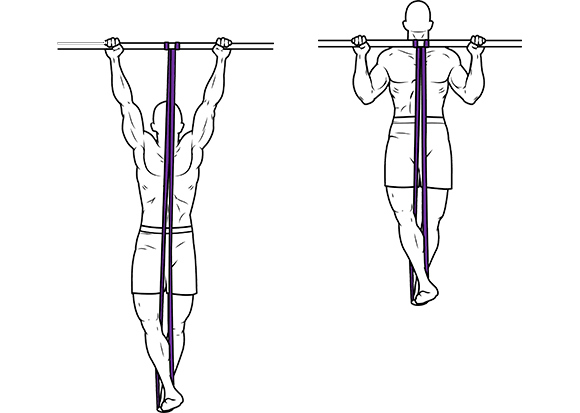 Pull Ups Muscles Worked Chart