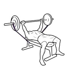 Bench Press