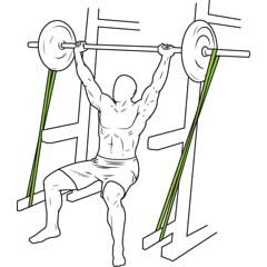 Shoulder Press